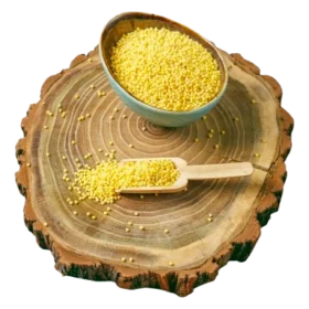 foxtail-millet