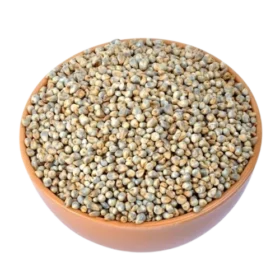 pearl-millet