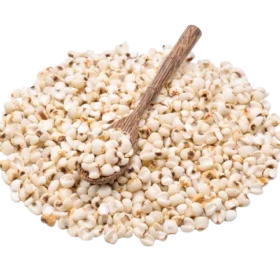 Sorghum-millet-as-Jowar-millet