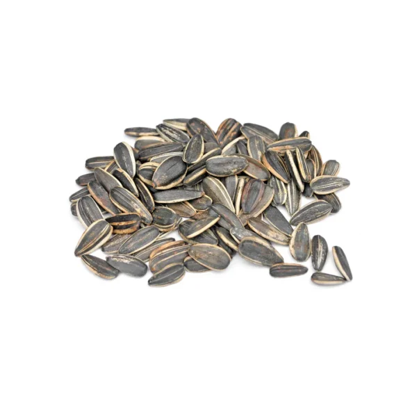 Sunflower-Seeds
